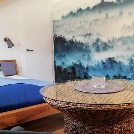 Apartmán Cechovní Moravská Třebová