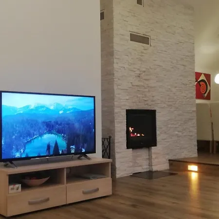 Apartment Cechovni