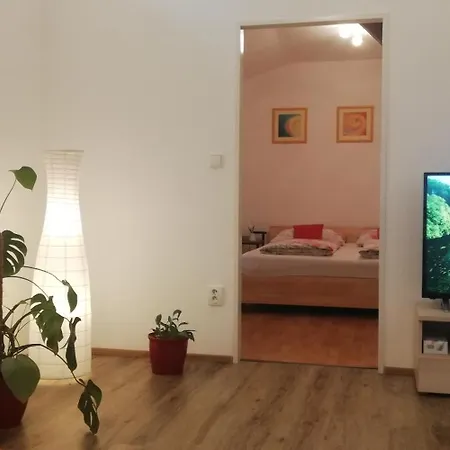 Cechovni Apartment *