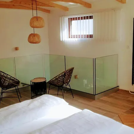 Cechovni Apartment
