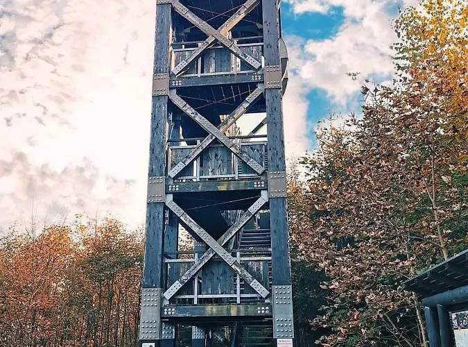 Apartman Cechovni *